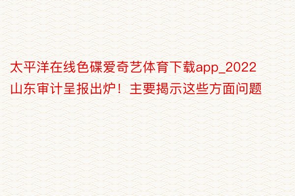 太平洋在线色碟爱奇艺体育下载app_2022山东审计呈报出炉！主要揭示这些方面问题