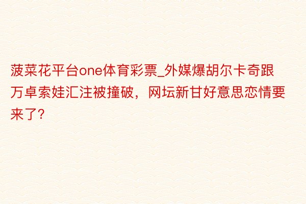 菠菜花平台one体育彩票_外媒爆胡尔卡奇跟万卓索娃汇注被撞破，网坛新甘好意思恋情要来了？